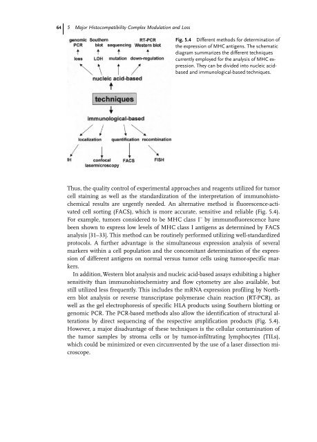 Cancer Immune Therapy Edited by G. Stuhler and P. Walden ...