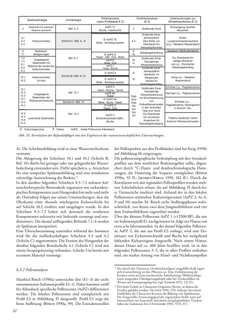 Hemmenhofener Skripte - Janus Verlag