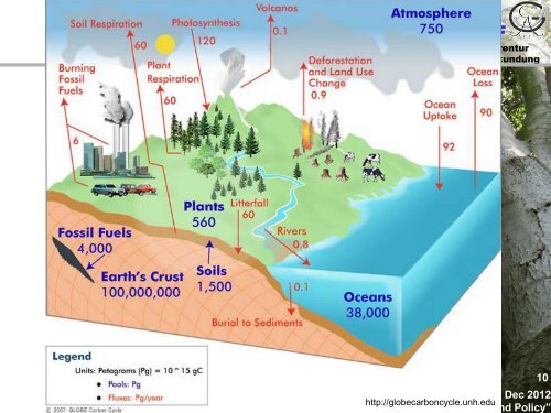 Forests in climate change research and policy - Georg-August ...