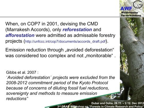 Forests in climate change research and policy - Georg-August ...