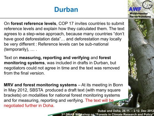 Forests in climate change research and policy - Georg-August ...