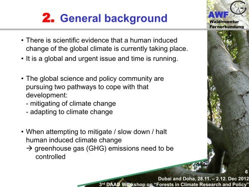 Forests in climate change research and policy - Georg-August ...