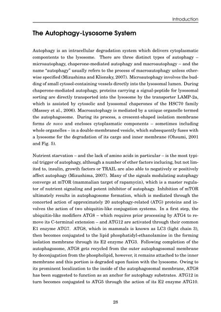 Role of the ubiquitin-like modifier FAT10 in protein degradation and ...