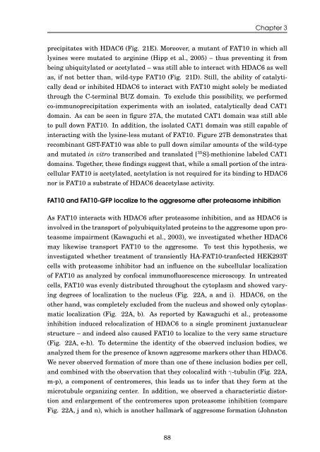 Role of the ubiquitin-like modifier FAT10 in protein degradation and ...