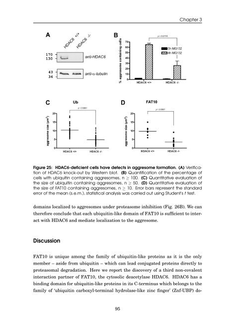 Role of the ubiquitin-like modifier FAT10 in protein degradation and ...