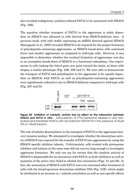 Role of the ubiquitin-like modifier FAT10 in protein degradation and ...