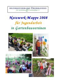 Netzwerkmappe 2008