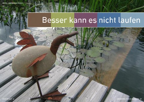 Das PARADIES im GARTEN - BIOTOP Swimming-Teich