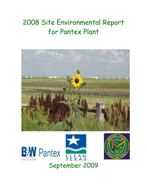 2008 Site Environmental Report for Pantex Plant