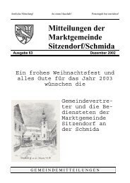 Gemeindemitteilungen 2002-12 (431 kb) - - Sitzendorf an der ...