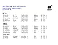 BLUE STAR FARM – Bronze Dressage Series #4 SHOW RESULTS ...