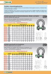 Schäkel, Lastenringe, Ringschrauben und -muttern