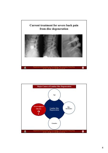 View Presentation Powerpoint - HKU Li Ka Shing Faculty of ...