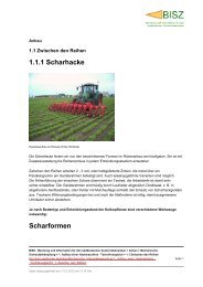 1.1.1 Scharhacke Scharformen - BISZ