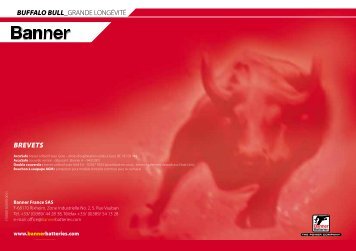 BUFFALO BULL GRANDE Long