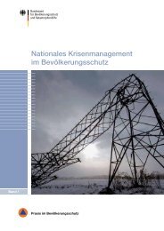 Nationales Krisenmanagement im ... - deNIS - Bund.de