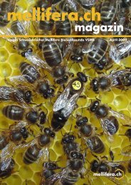 magazin - Verein Schweizerischer Mellifera Bienenfreunde