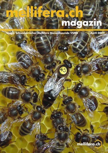 magazin - Verein Schweizerischer Mellifera Bienenfreunde