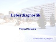 Stufendiagnostik bei Lebererkrankungen