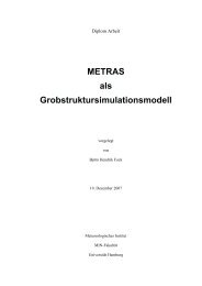 Diplomarbeit Björn Fock u232016 - Meteorologisches Institut ...