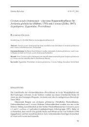 Cirsium acaule (Asteraceae) – eine neue ... - Entomo Helvetica