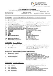 66 KB - Salzgitter Flachstahl GmbH