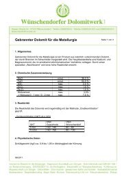 Gebrannter Dolomit für die Metallurgie - Wünschendorfer ...