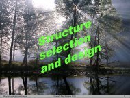 Structure selection and design Copyright Prof Schierle 2012 1