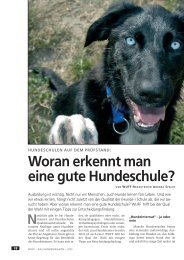 Woran erkennt man eine gute Hundeschule? - WUFF - online