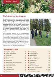 Kleiner Pflanzenführer Wildkräuter und Heilpflanzen im Sauerland