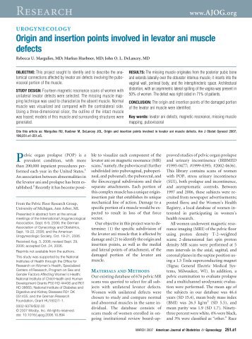 Origin and insertion points involved in levator ani - 3D Slicer