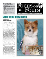 Eddie's one lucky pooch - Central Dakota Humane Society