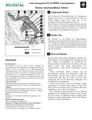 Naturschutzgebiet FLACHSEE Unterlunkhofen - Stiftung Reusstal