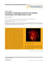Correlation of histology and linear and nonlinear microscopy of the ...