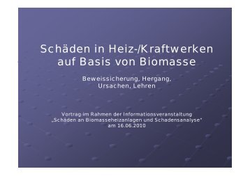 Schäden in Heiz-/Kraftwerken auf Basis von Biomasse - qm heizwerke