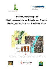 Schadenspotentialanalyse Traisen - FLOOD RISK (pdf-file) - EZB ...