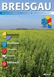 Revisions-Arbeiten - Gemeinde Hartheim