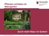 durch mehr Natur im Garten