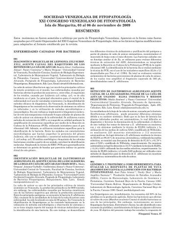 [PDF Aquí]. - Sovefit - Sociedad Venezolana de Fitopatologia