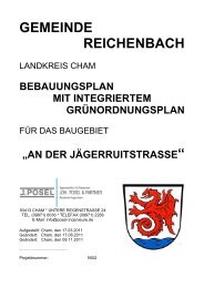Bebauungsplan - Gemeinde Reichenbach