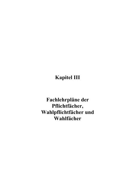 Lehrplan für die bayerische Hauptschule - Didaktik der Informatik