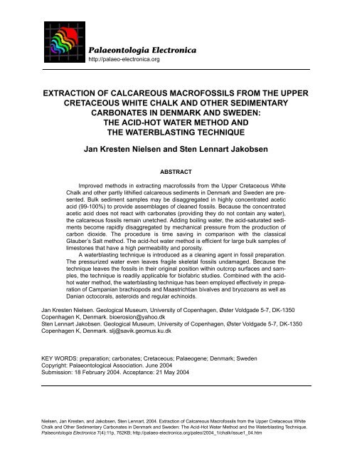 Extraction of Calcareous Macrofossils from the Upper Cretaceous