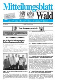 Juni 2008 - Gemeinde WALD