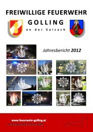 Download Jahresbericht 2012 - Freiwillige Feuerwehr Golling