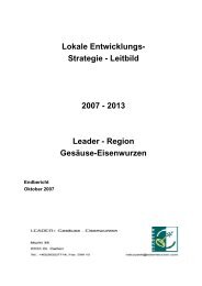 Strategie - Leitbild 2007 - 2013 Leader - Regional Management ...