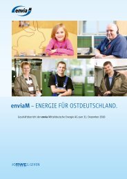 Geschäftsbericht 2010 - enviaM