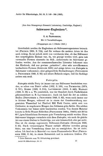 Salzwasser-Eugleninen ~. - Algaebase