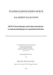 WANDMALEREISCHÄDEN DURCH SALZKRISTALLISATION