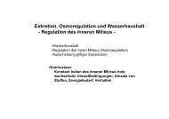 Exkretion, Osmoregulation und Wasserhaushalt - Institut für Biologie ...