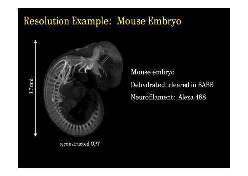 Optical Projection Tomography (OPT) - Biomedicum Imaging Unit ...